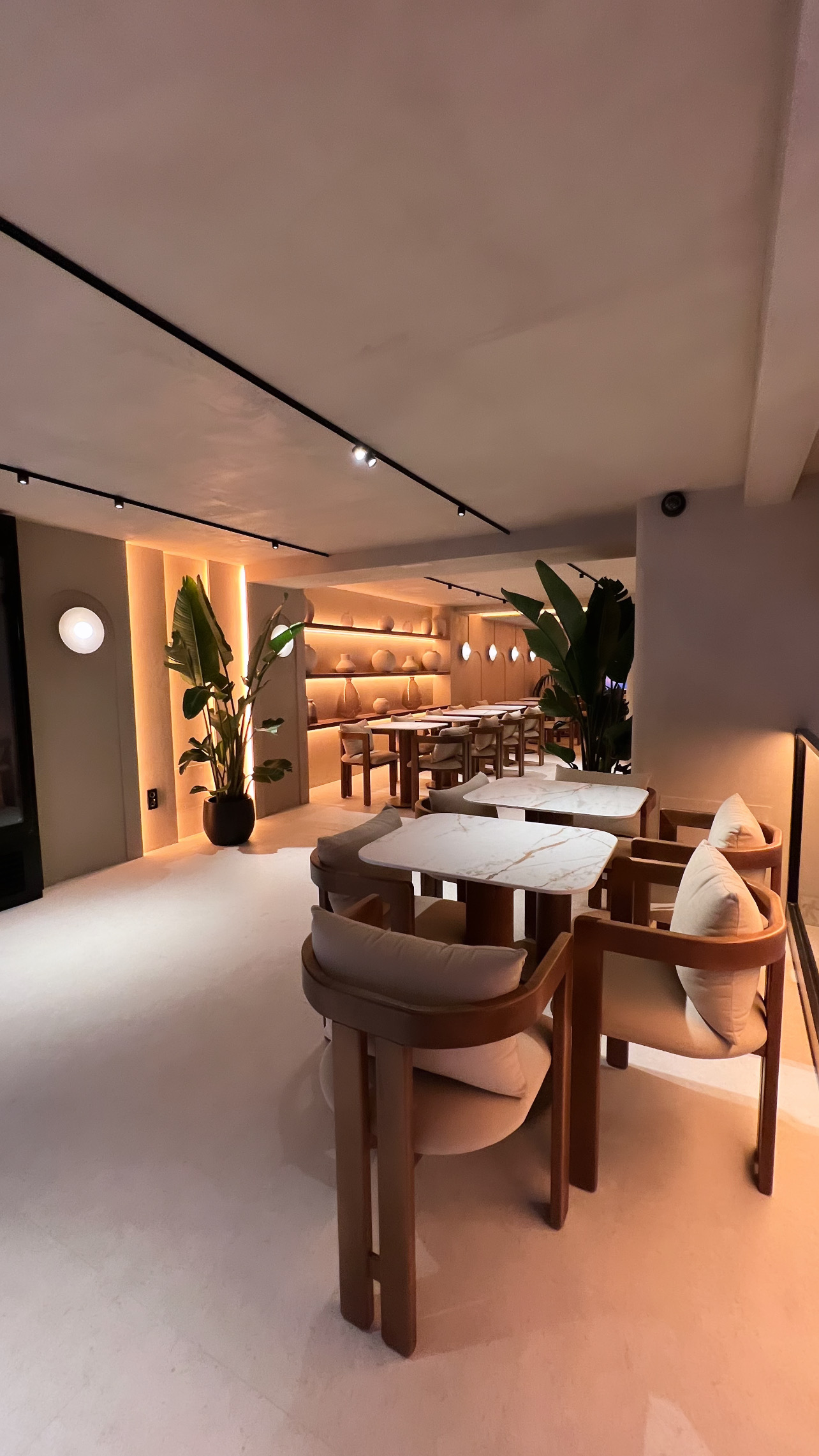 Dining room with large plants, a lit ceramics shelf at the back and tables with wooden armchairs